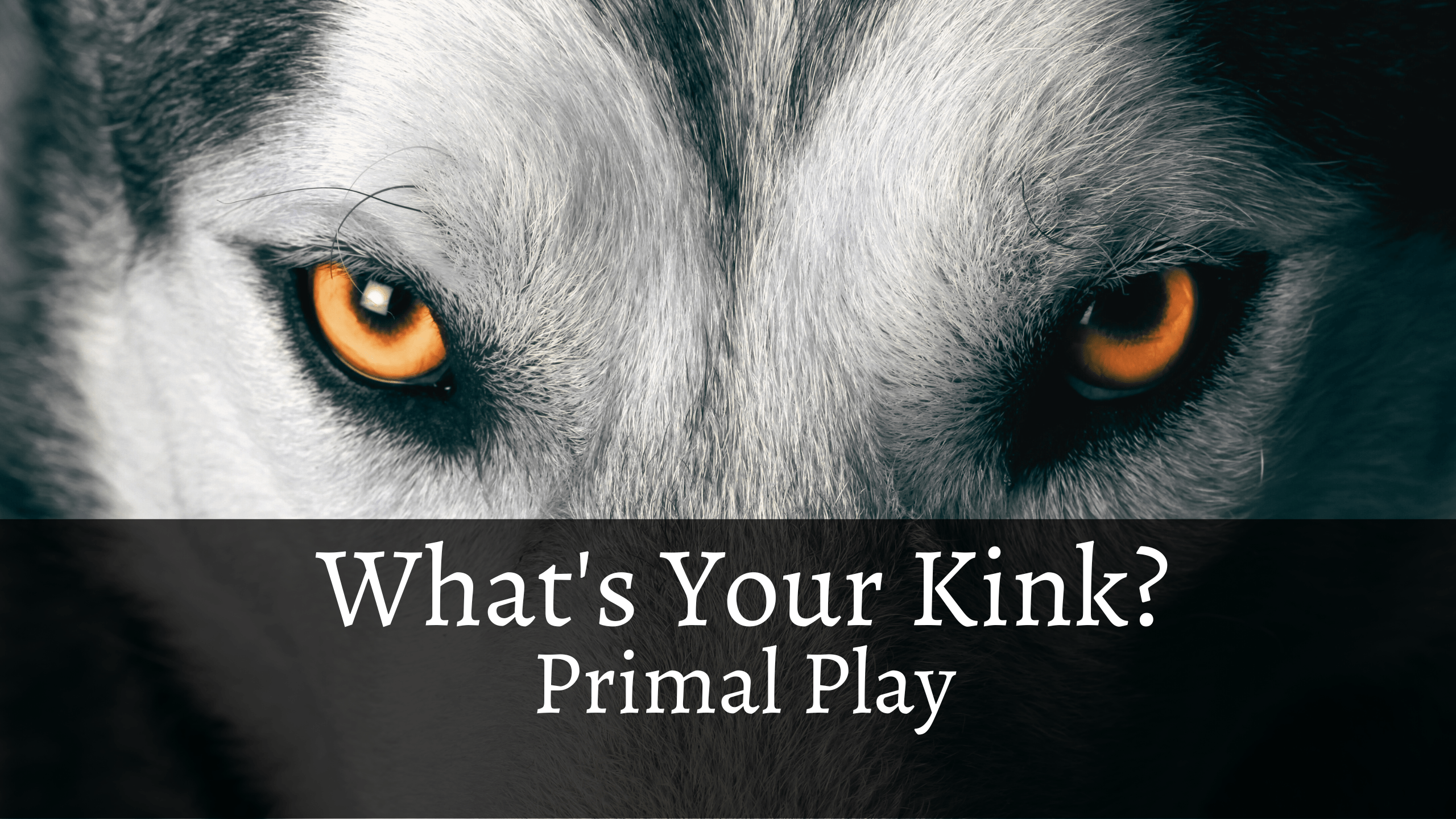 What’s Your Kink?: Primal Play