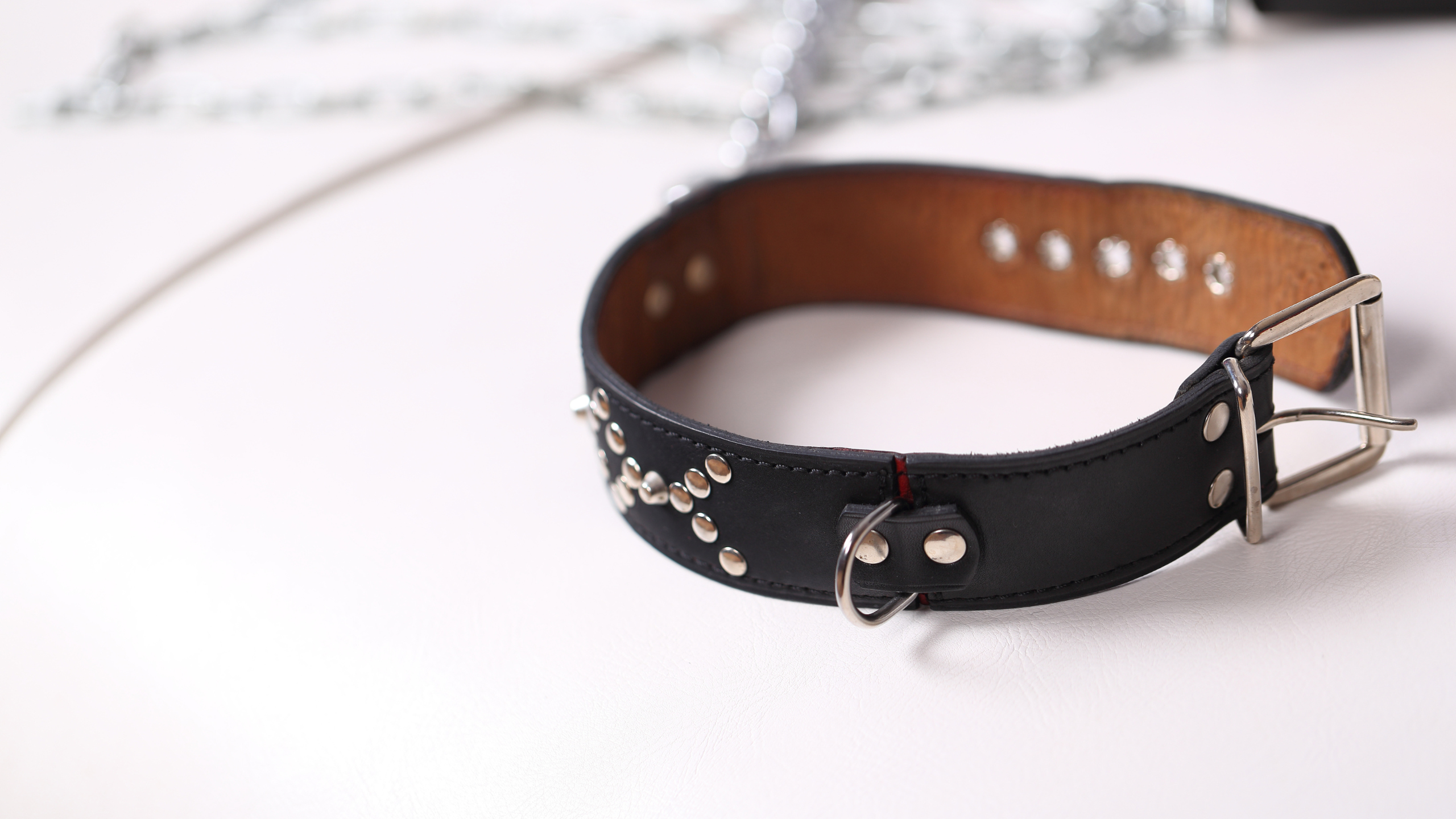 A black leather dog collar for BDSM play