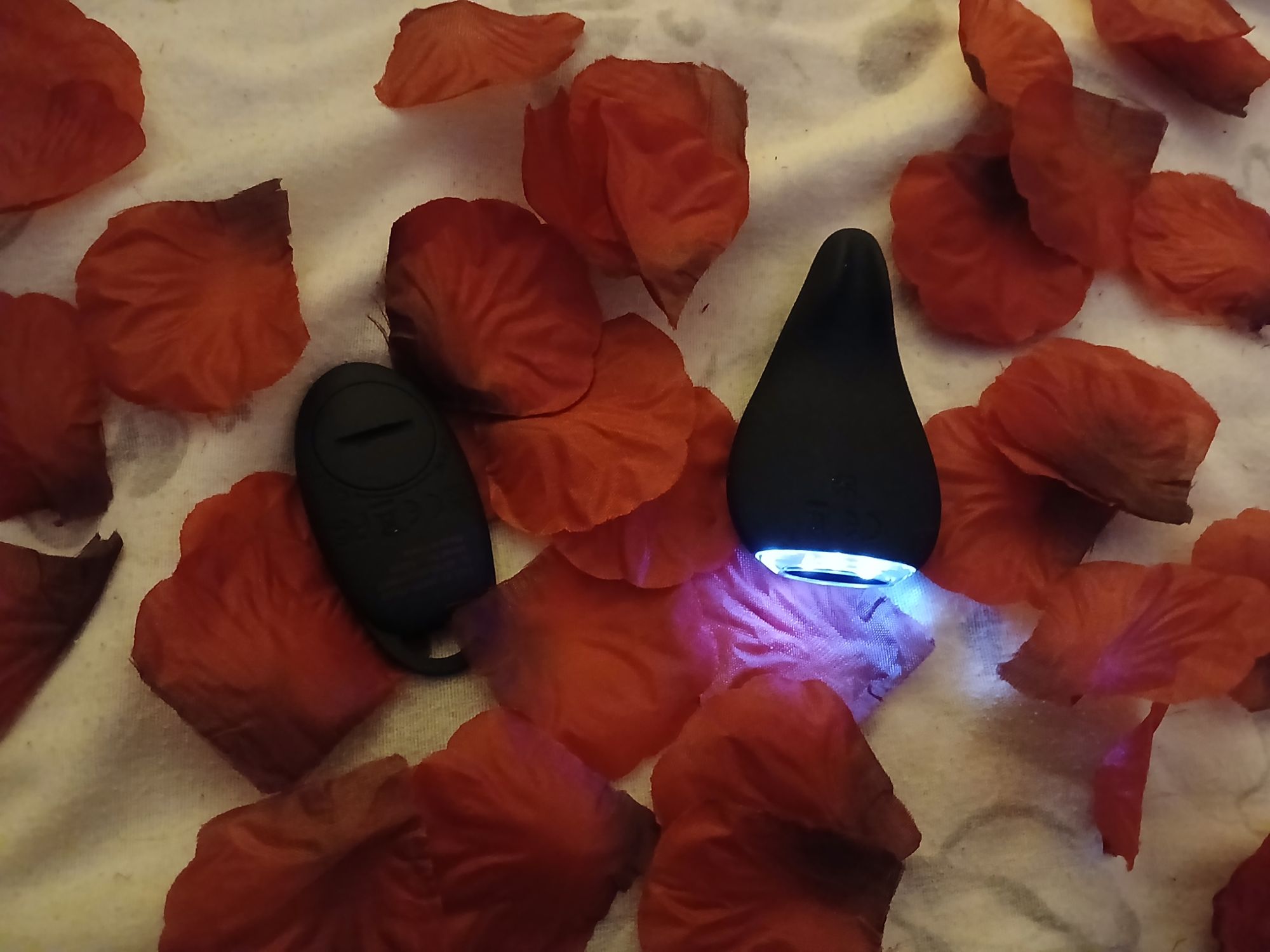 Mantric Rechargeable Remote Control Knicker Vibrator on a bed of rose petals
