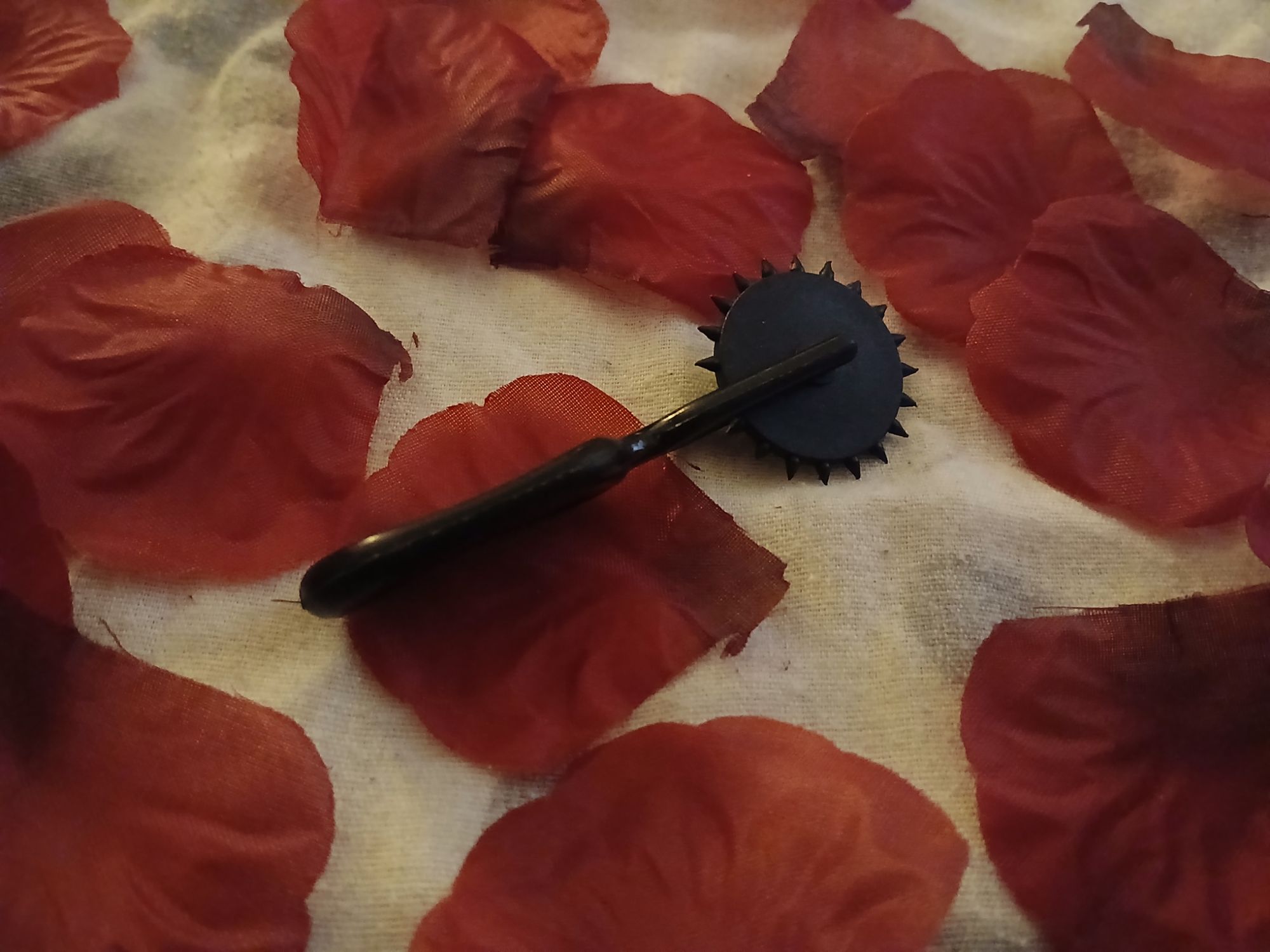 Master Series Mini Pinwheel Review: A Perfect Start To S&M!