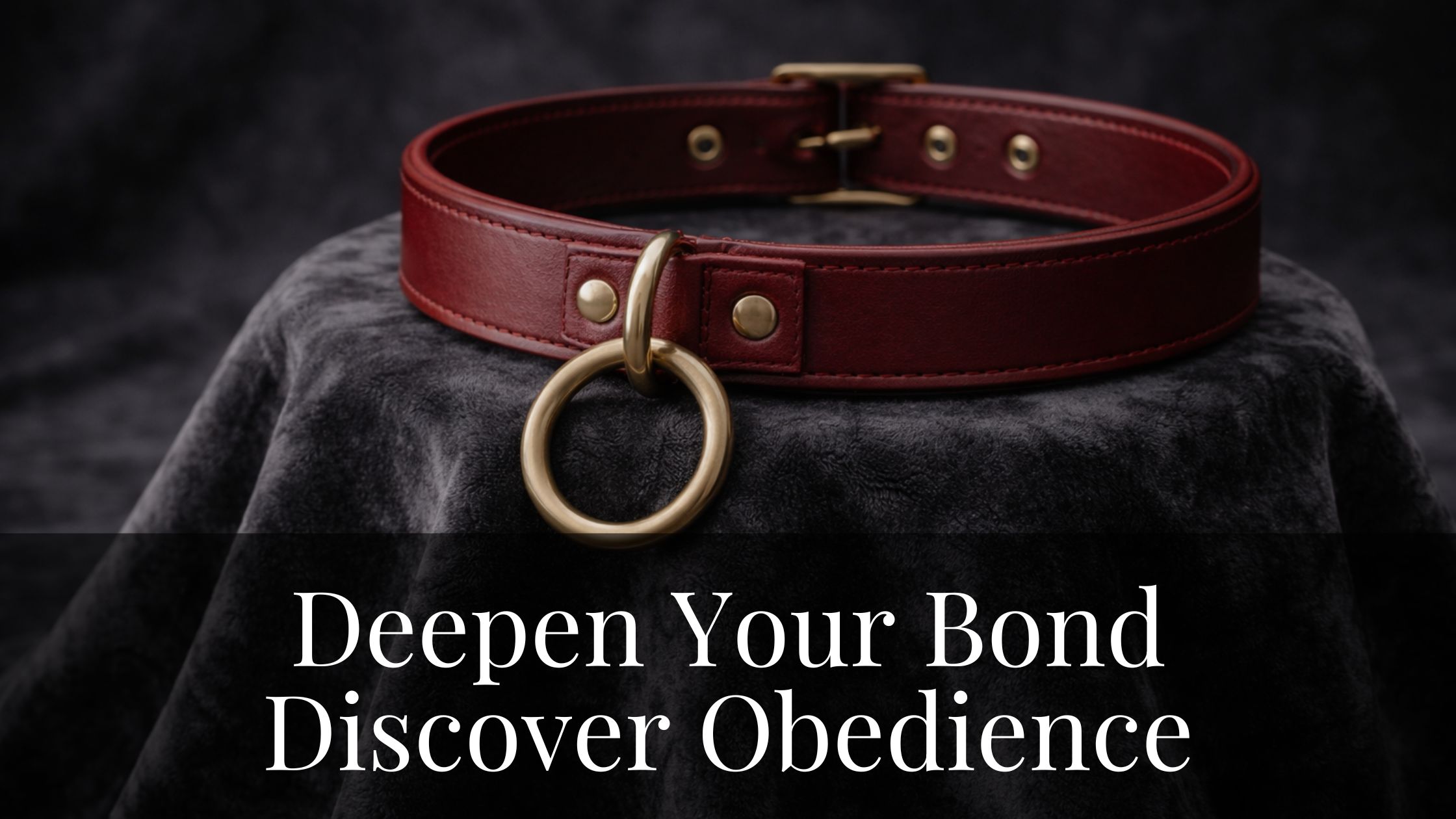Deepen Your Bond, Discover Obedience