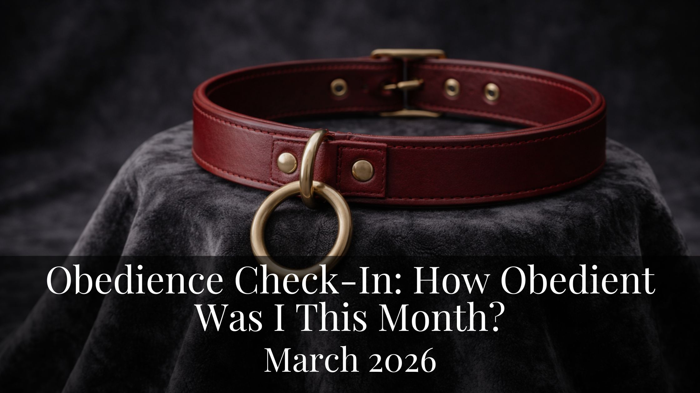 Obedience Check-In: March 2026